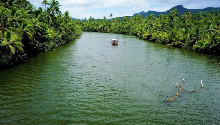 Raiatea Ausflug Bootstour, Faaroa River, Marae Taputapuatea - Fluss - Tahiti