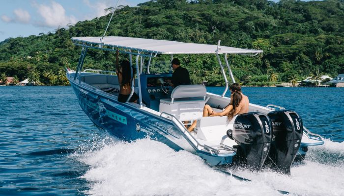 Tahaa Ausflug Arii Lagunentour - Boot - Tahiti