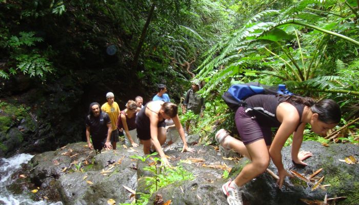 Raiatea Ausflug Wanderung zu den Wasserfällen - Wanderung - Tahiti