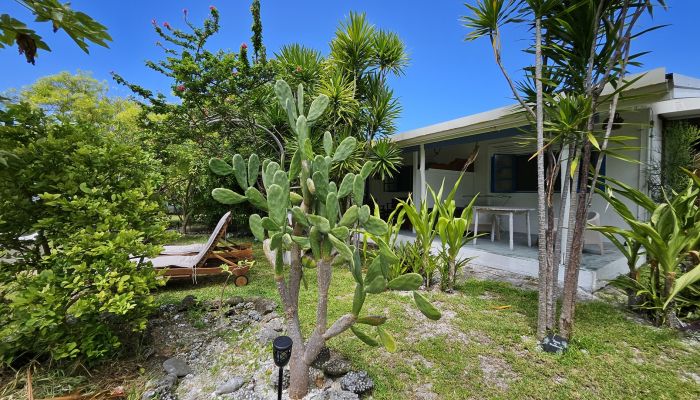 Pension Moana Breeze Eco Lodge Rangiroa - Bungalow - Tahiti