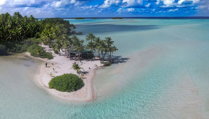 Rangiroa Ausflug Die Blaue Lagune, Seevögel und Rosé de Tahiti - Lagune - Tahiti