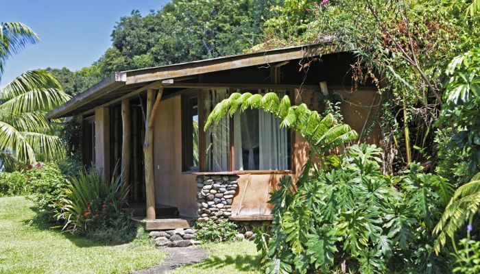 Pension Vanira Lodge Tahiti - Bungalow - Tahiti