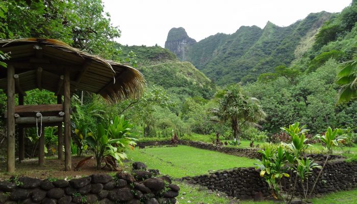 Tahiti Ausflug Geländewagensafari - Papenoo-Tal - Tahiti