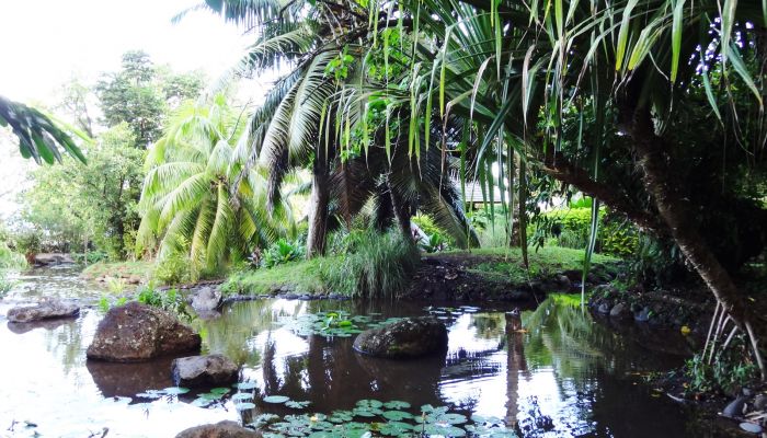 Tahiti Ausflug Museum & Island Tour - Vaipahi Garden - Tahiti