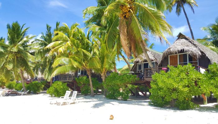 Pension Paradise Cove Lodges Aitutaki - Strand - Cook Inseln