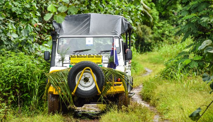 Ausflug Raro Safari Tour Rarotonga - Jeep im Regenwald - Cook Inseln