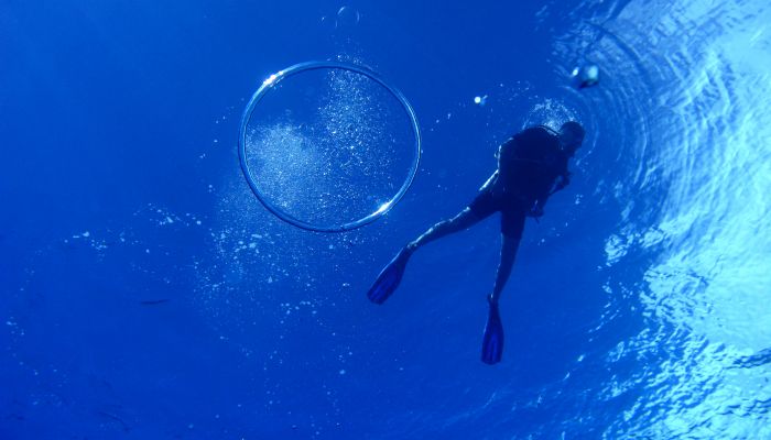 Ausflug Pacific Divers Rarotonga - Taucher - Cook Inseln